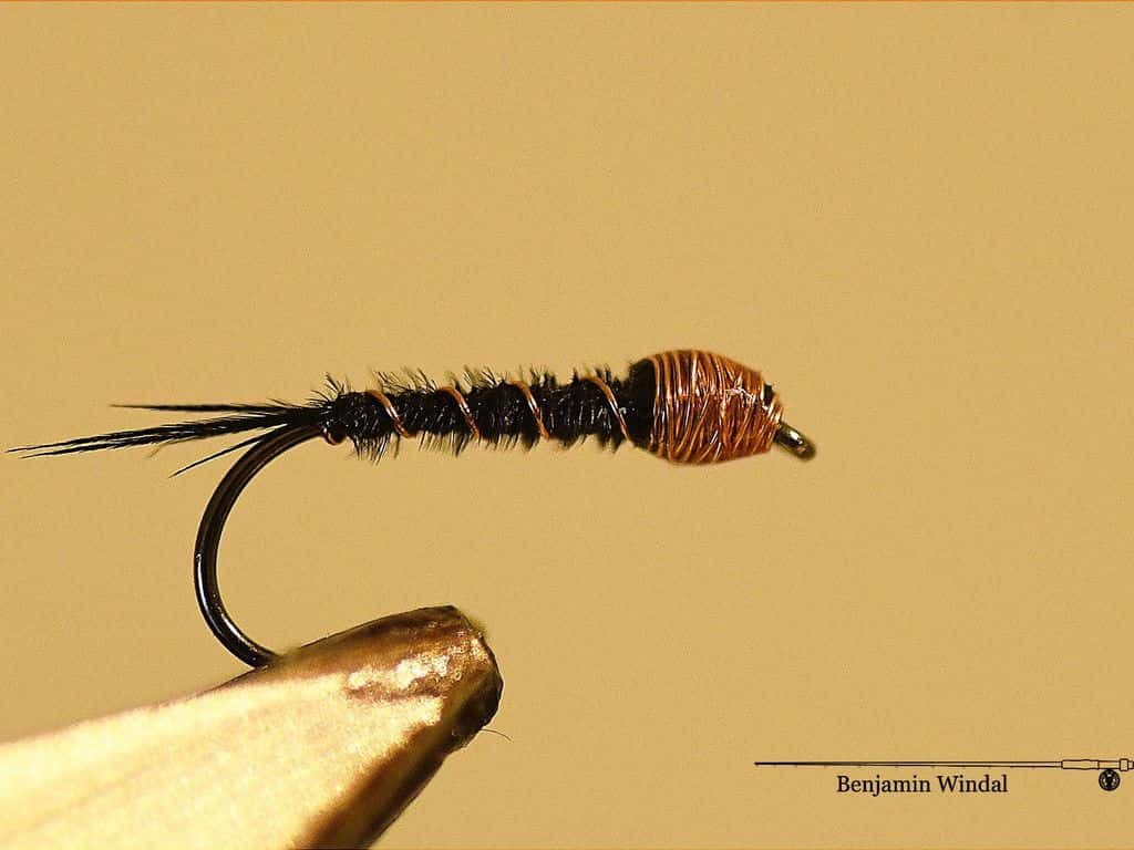 Main photo for Wire head pheasant tail