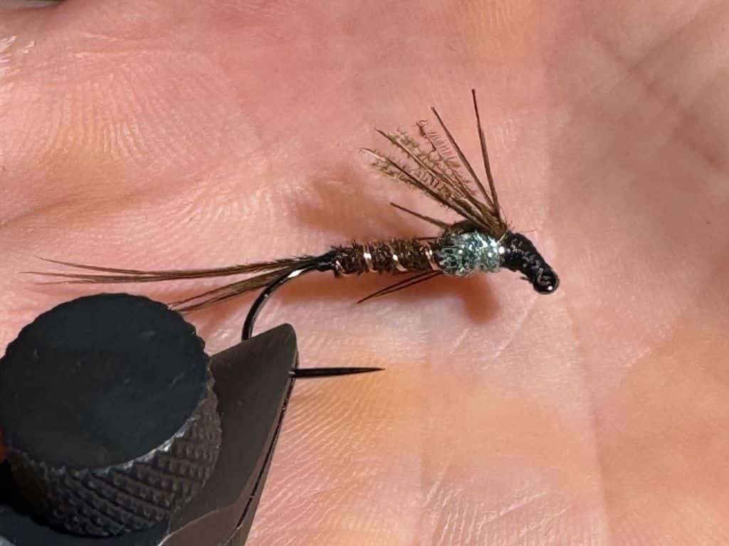 Main photo for Pheasant tail nymph