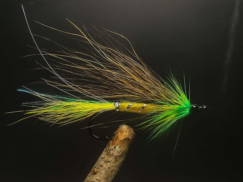 Main photo for Green Highlander