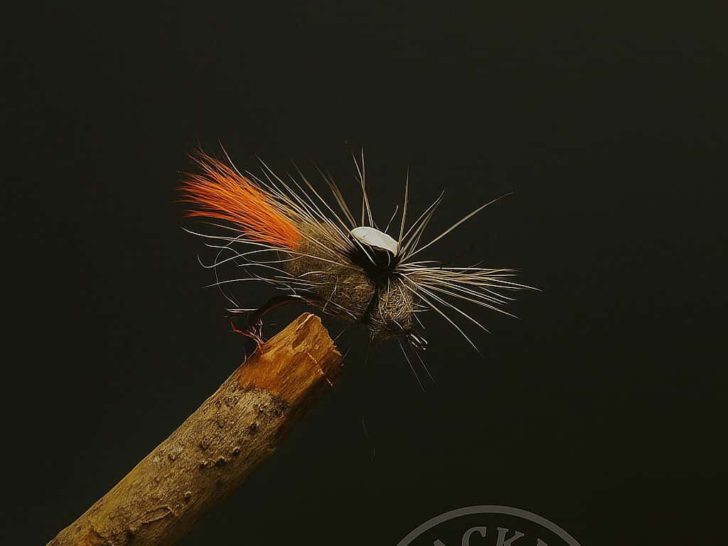 Main photo for Parachute Emerger