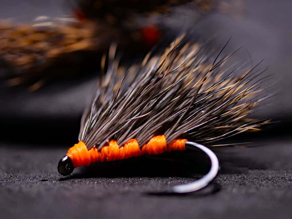 Main photo for Madeira Hedgehog