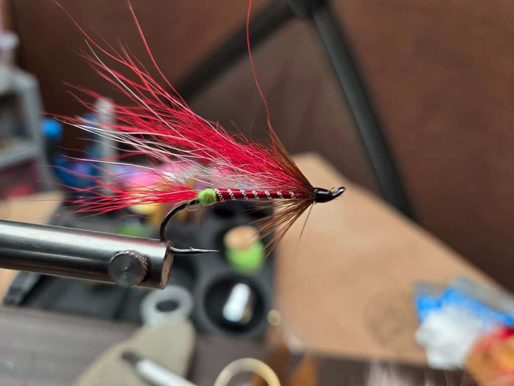 Main photo for Umpqua