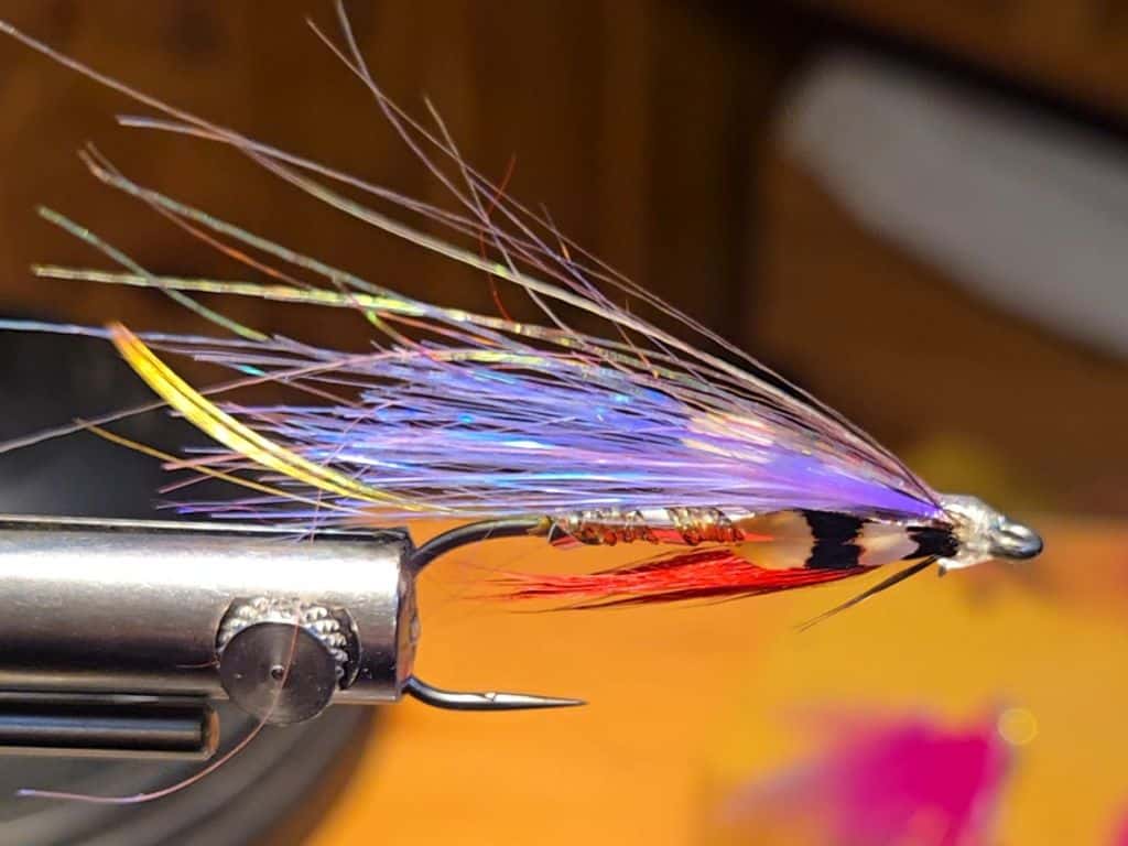 Main photo for Steelhead Dynamite 