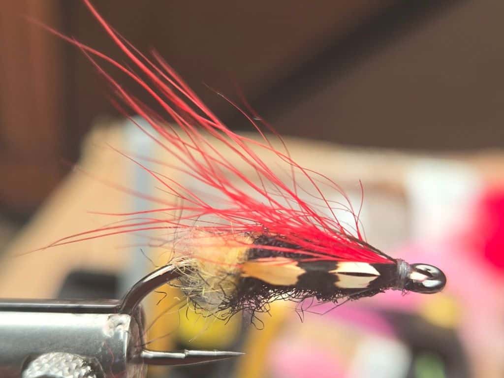 Main photo for Steelhead Bug