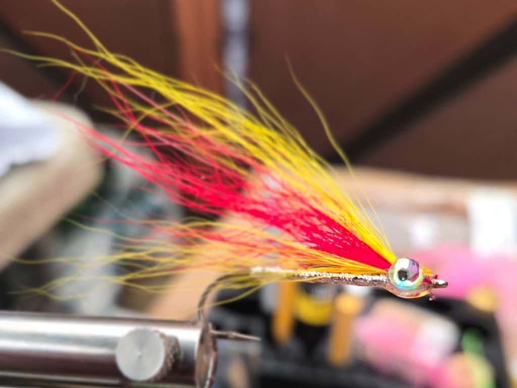 Main photo for Mickey Finn