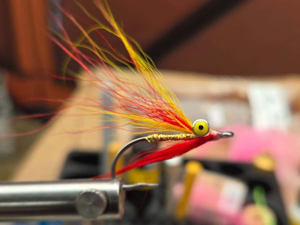 Main photo for Clouser Mickey