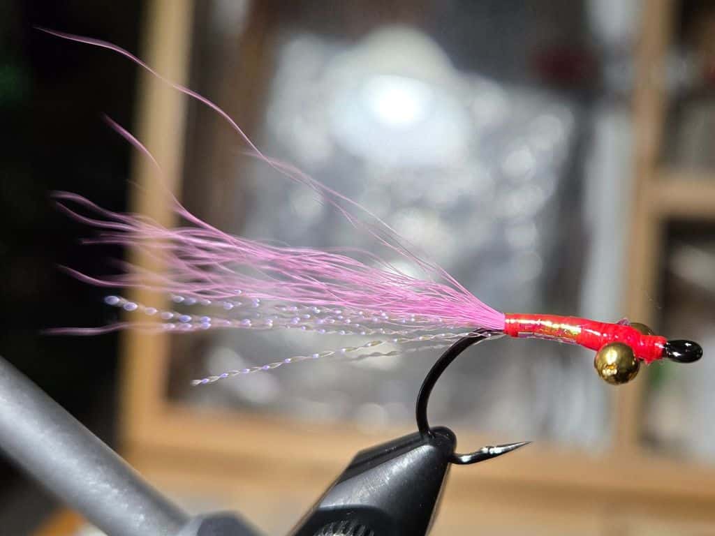 Main photo for Slim shrimp