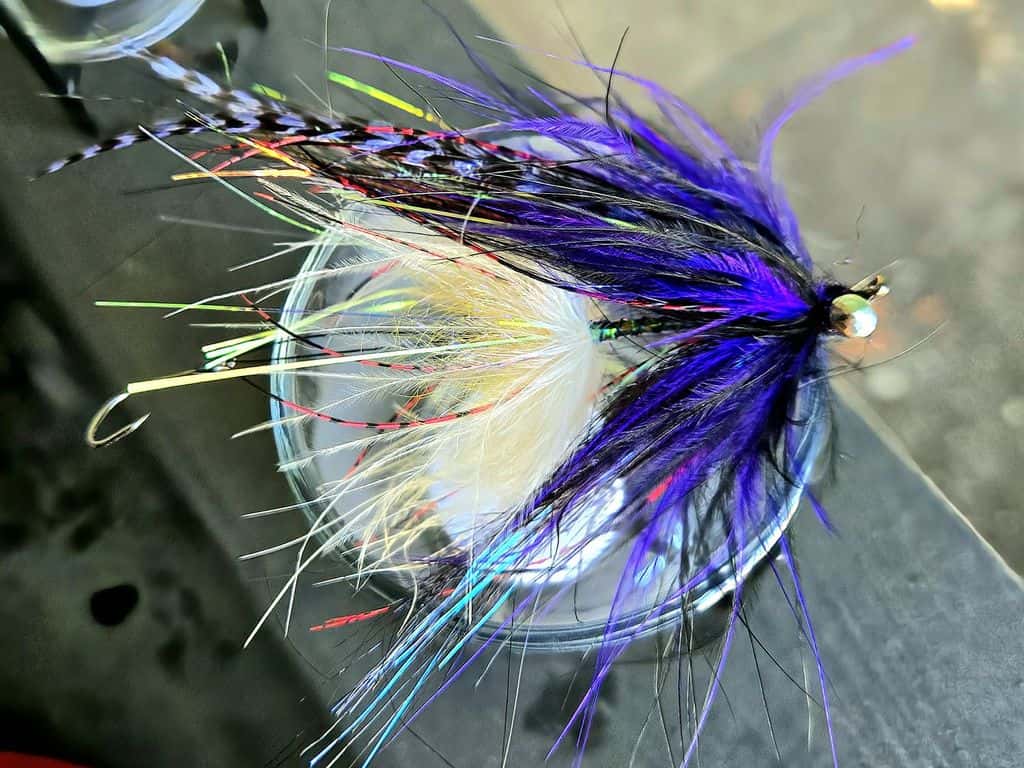 Main photo for Intruder