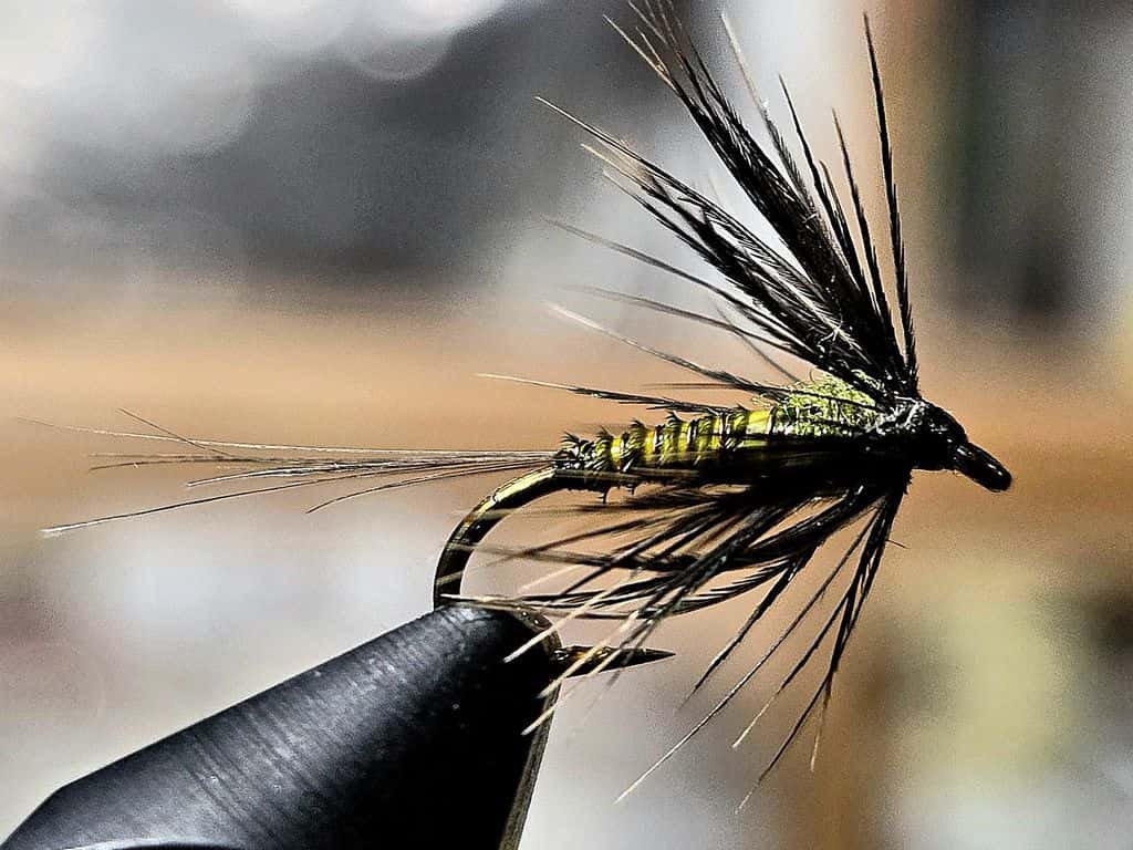 Main photo for Soft hackle emerger