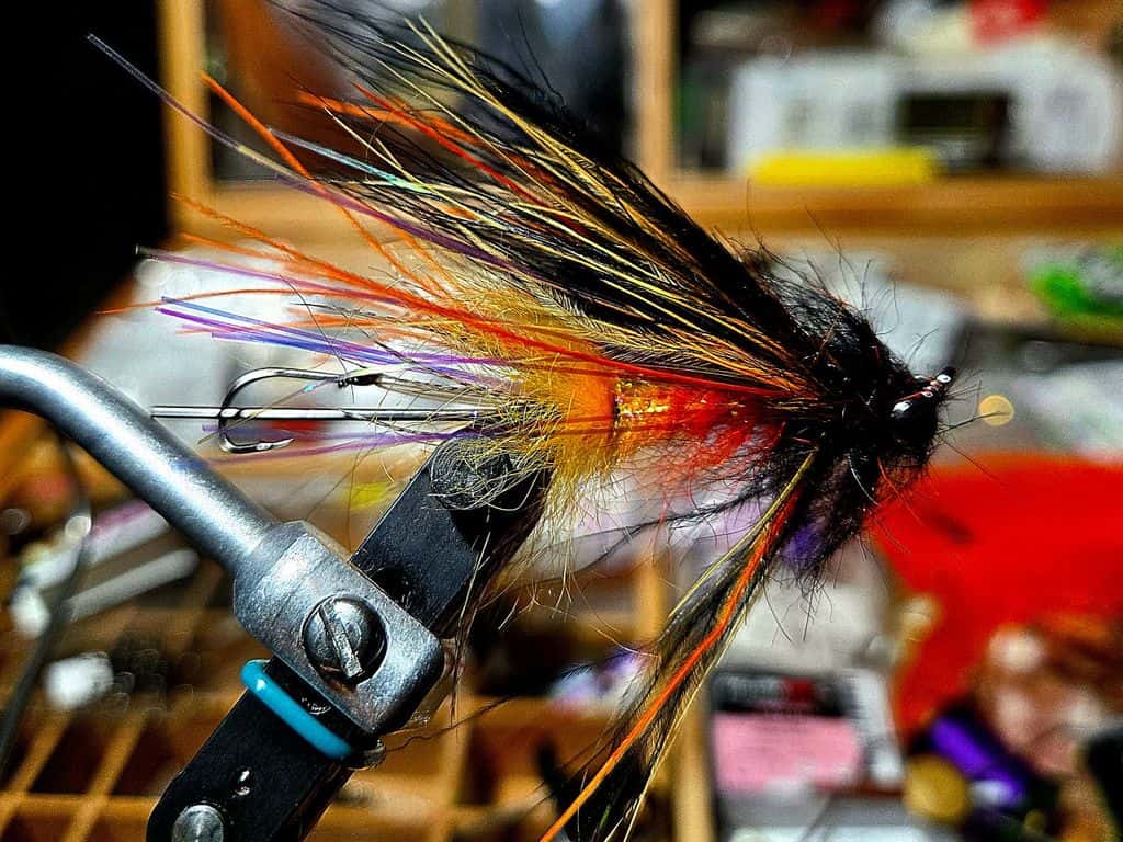 Main photo for Mini intruder