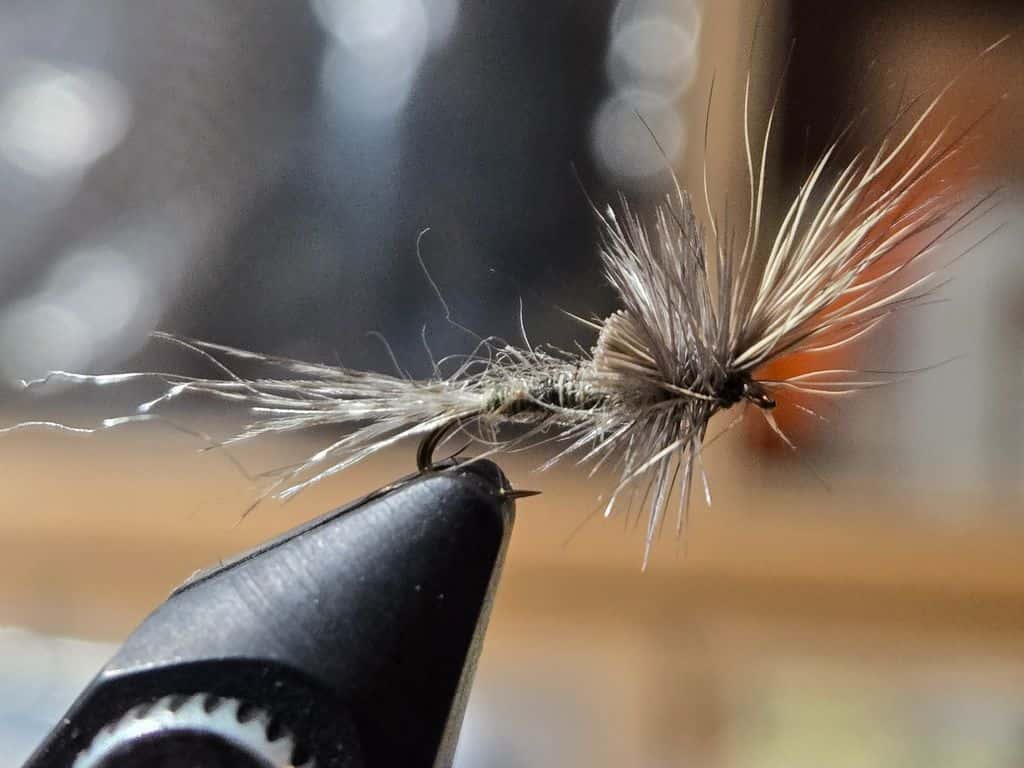 Main photo for BWO stealth cripple