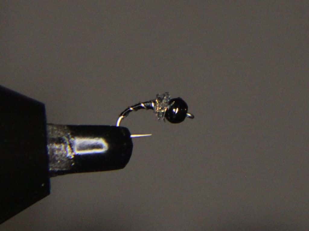 Main photo for Zebra Midge