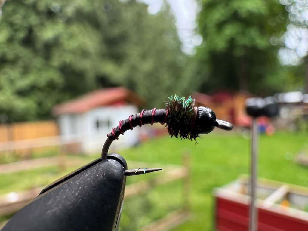 Main photo for Zebra Midge