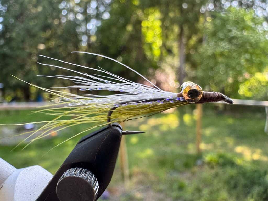Main photo for Clouser Minnow