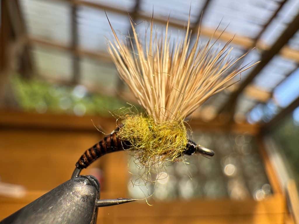 Main photo for Elk Hair Emerger