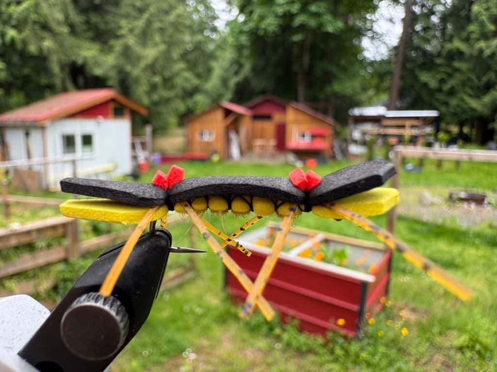 Main photo for Chernobyl Ant 