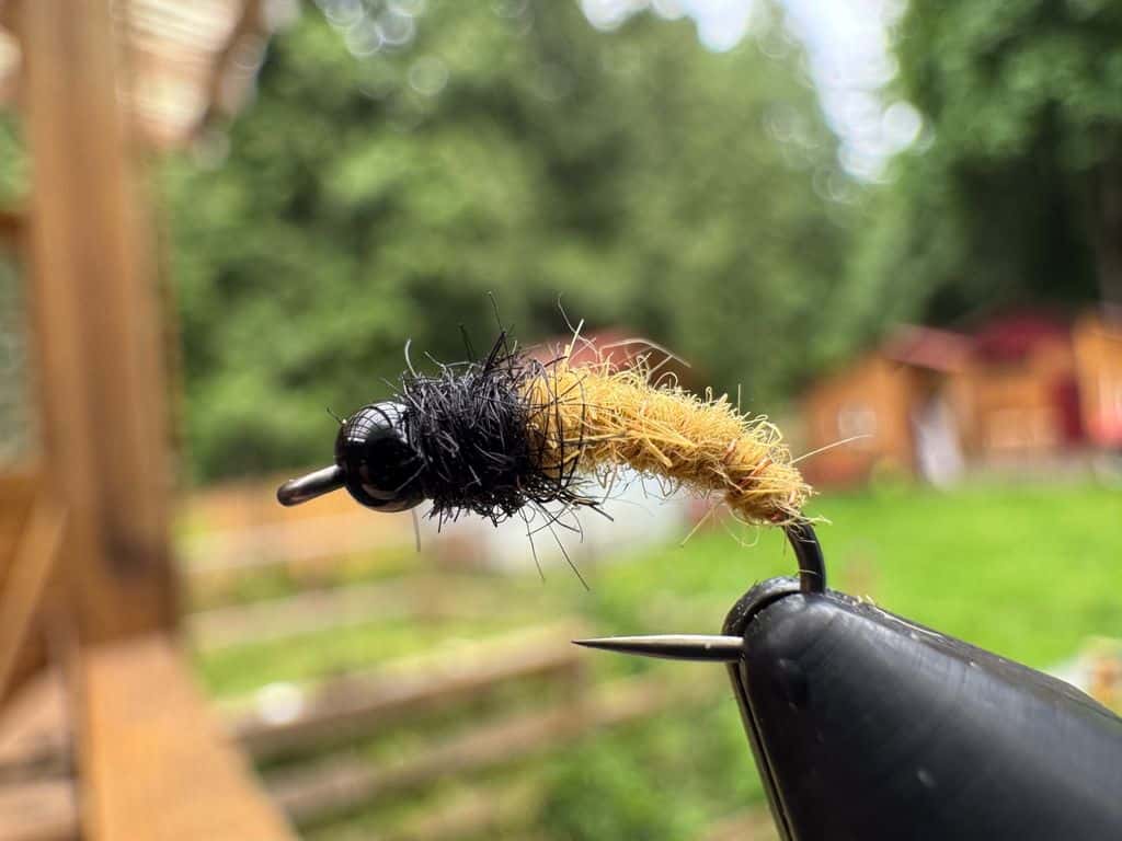 Main photo for Caddis Nymph