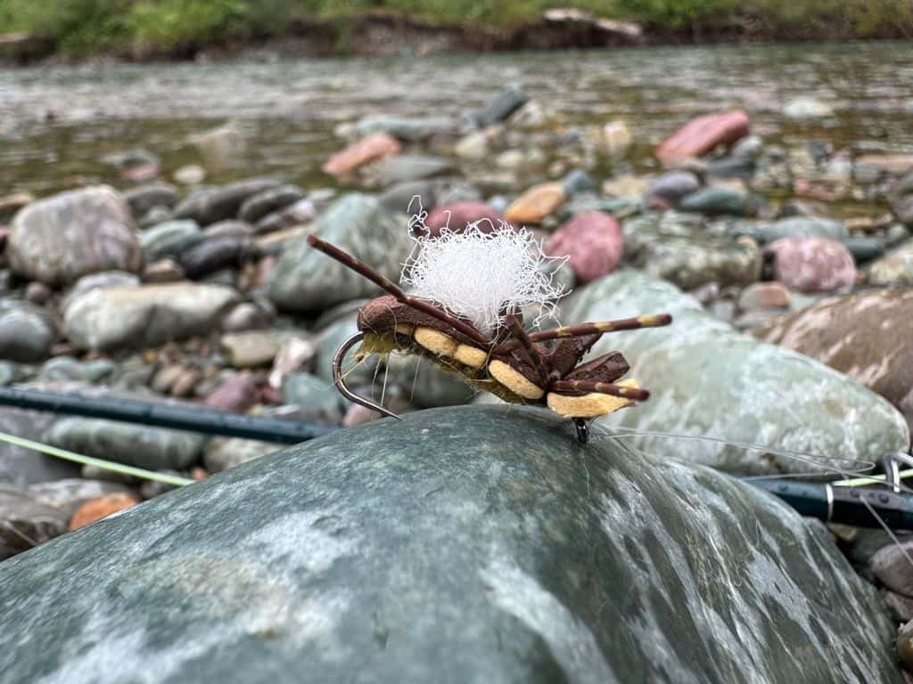 Main photo for Fat Albert