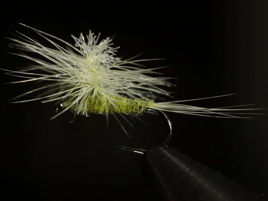 Main photo for PMD Adams