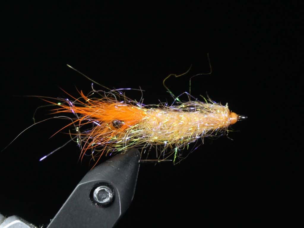 Main photo for Ice dub shrimp