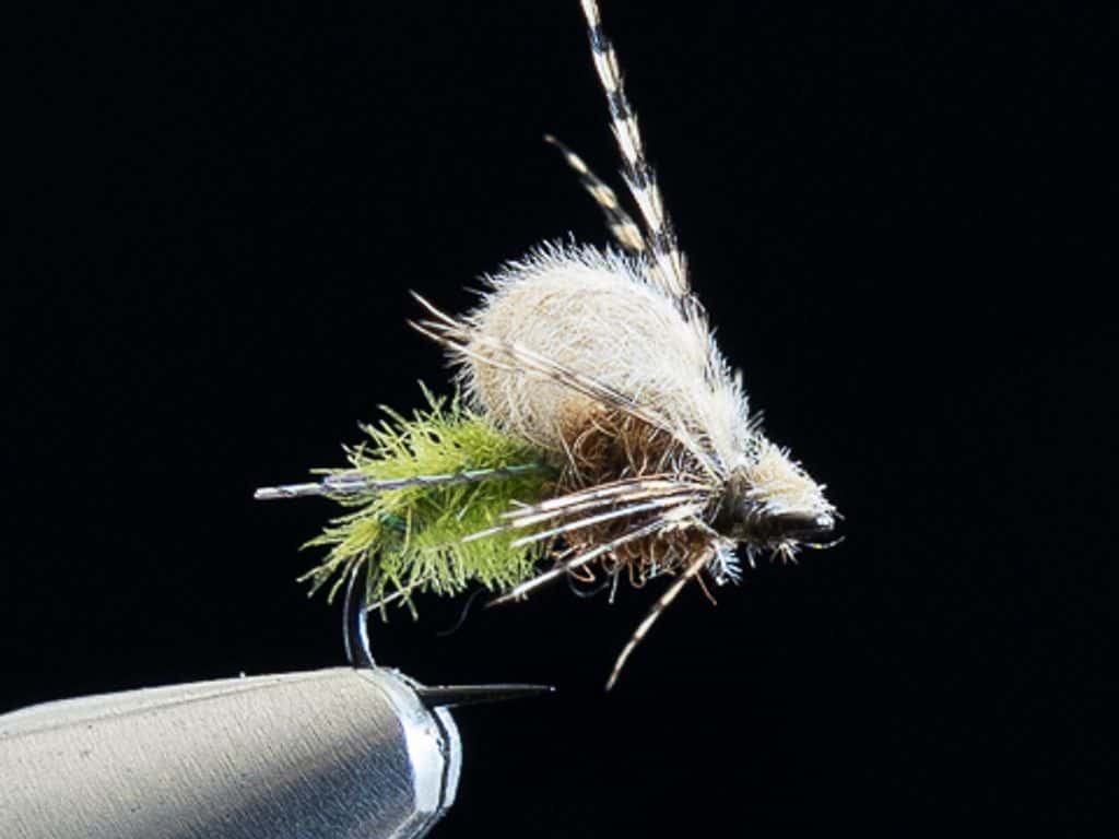 Main photo for Troutlie CDC Bubbleback Caddis