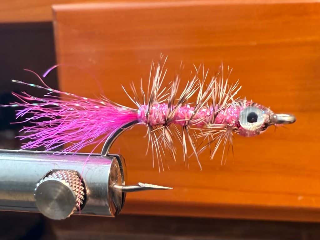 Main photo for The Vince Neil