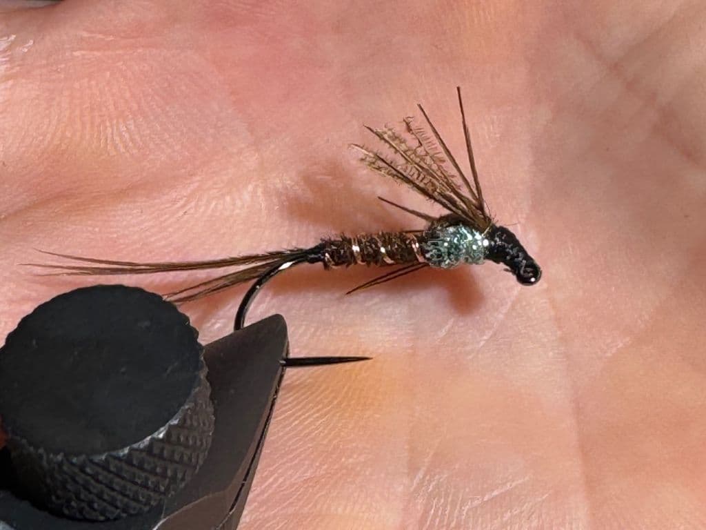 Pheasant tail nymph
