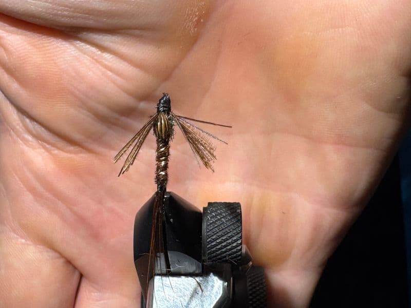 Pheasant tail nymph
