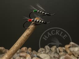 Black Bear Green & Red Butts