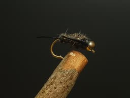 Prince Nymph (Variant)