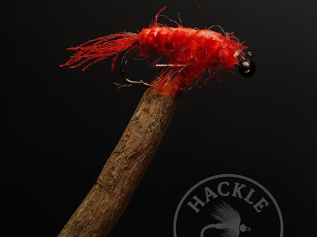Shrimp (Variant)