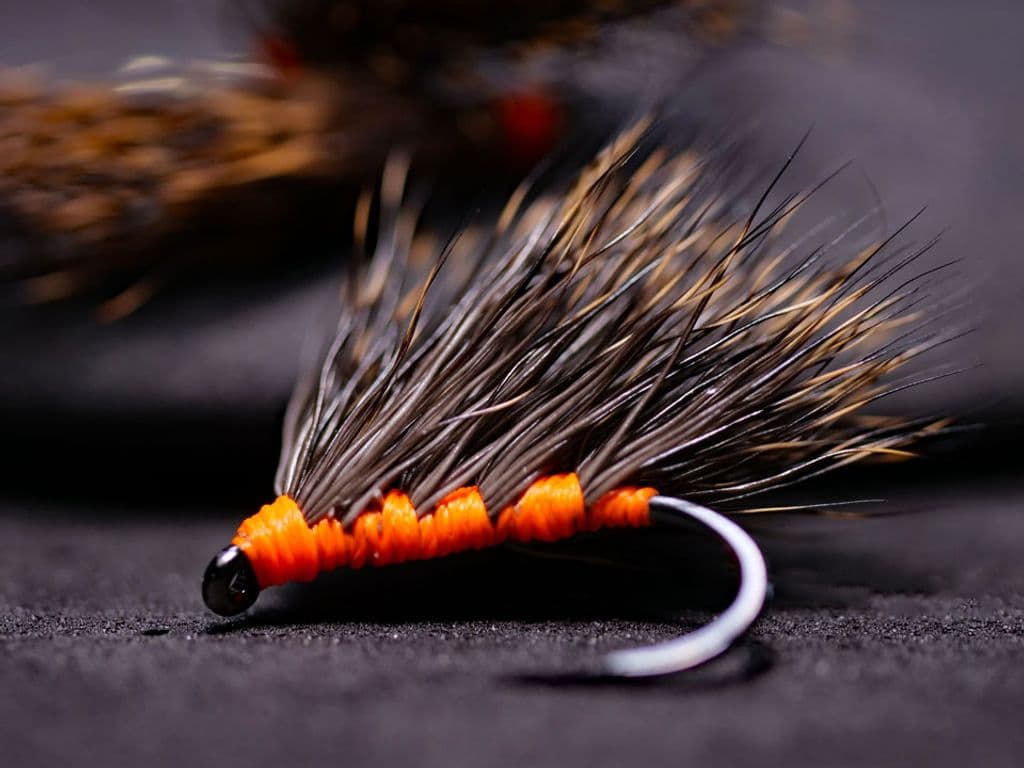 Madeira Hedgehog