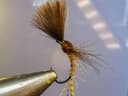 Mayfly emerger