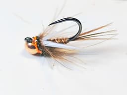 Prince pheasant tail euro nymph