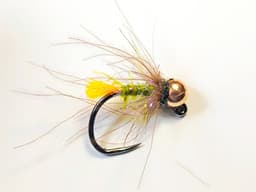 Orange Tag Euro Nymp