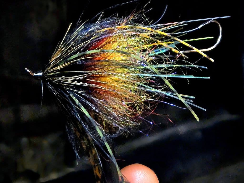 Squidro variant
