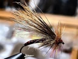 OC Partridge, size 8