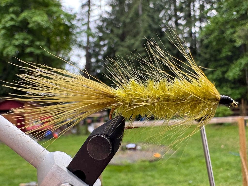 Woolly Bugger