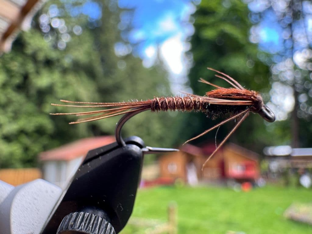 Pheasant Tail Nymph