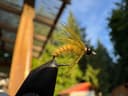 Olive Soft Hackle