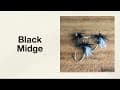 Video thumbnail 2