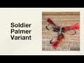 Video thumbnail 2