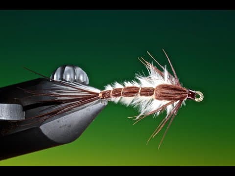 Danica Nymph