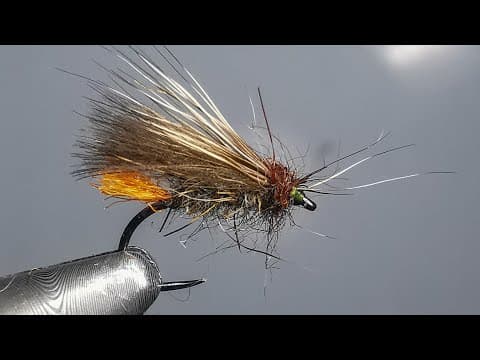 Egg laying Caddis (grannom)