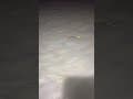 Video thumbnail 2