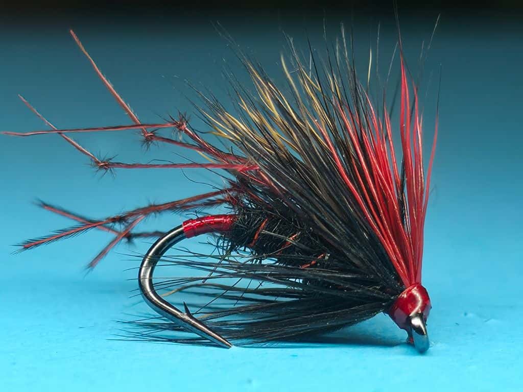 Main photo for Half hog