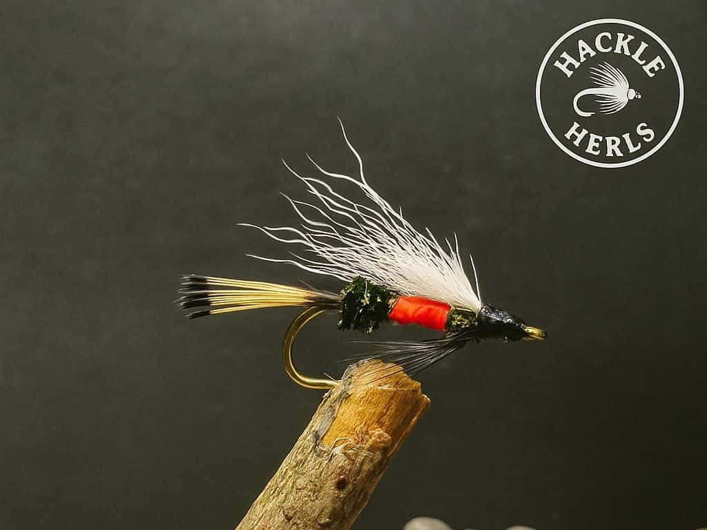 Main photo for Royal Coachman