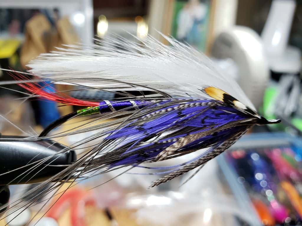 Main photo for Green Butt Purple