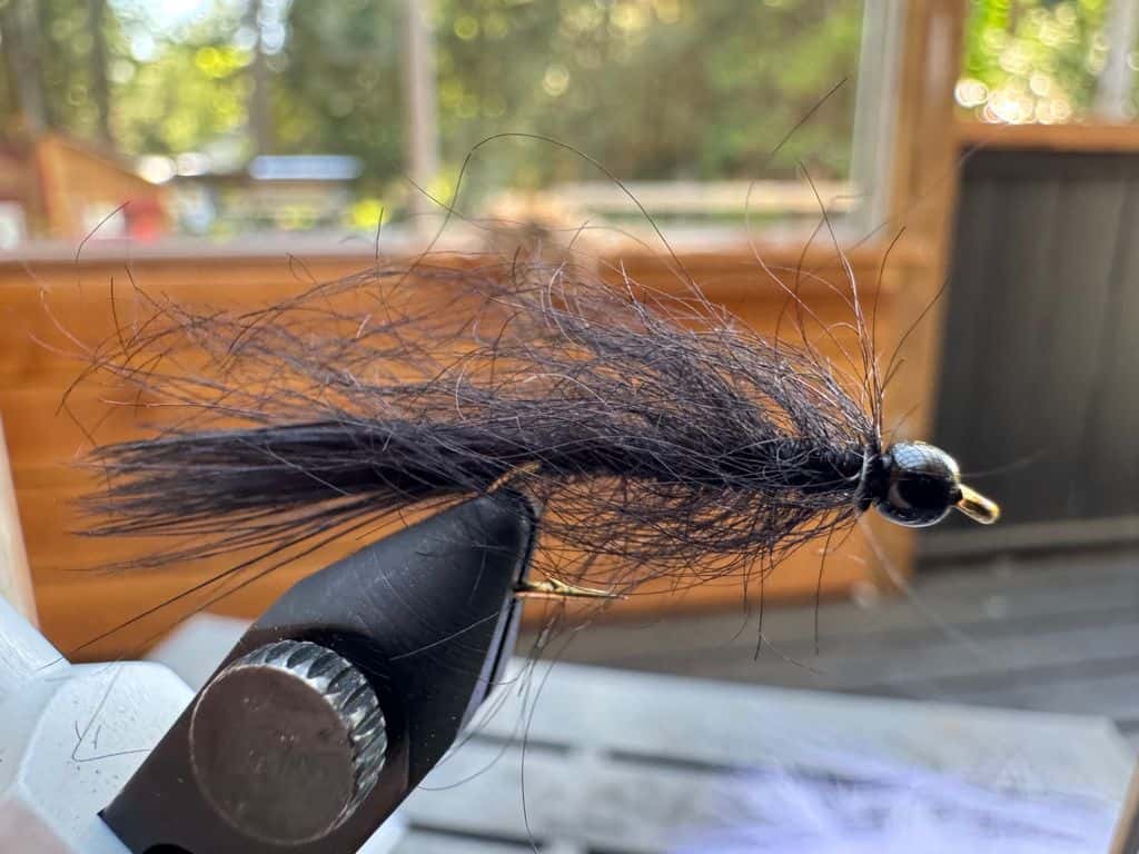 Main photo for Goat Hair Leech