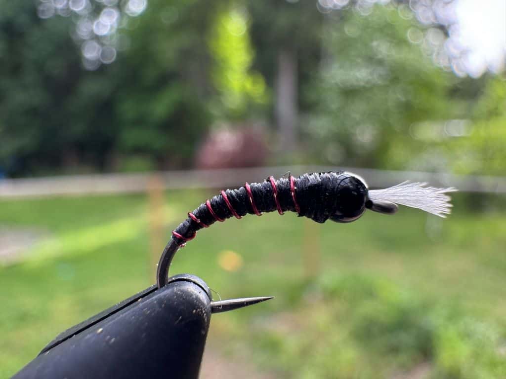 Main photo for Thread Body Chironomid